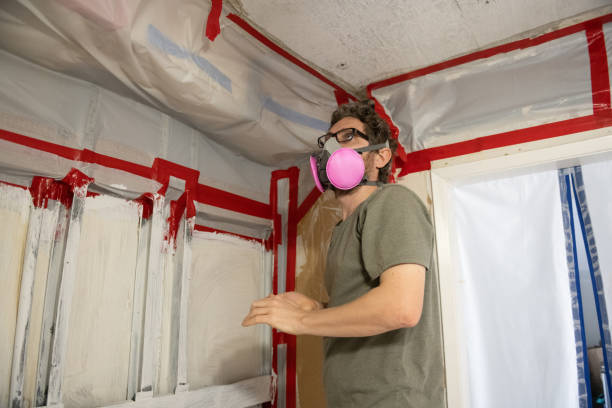 Mold Remediation for Rental Properties in St John, IN
