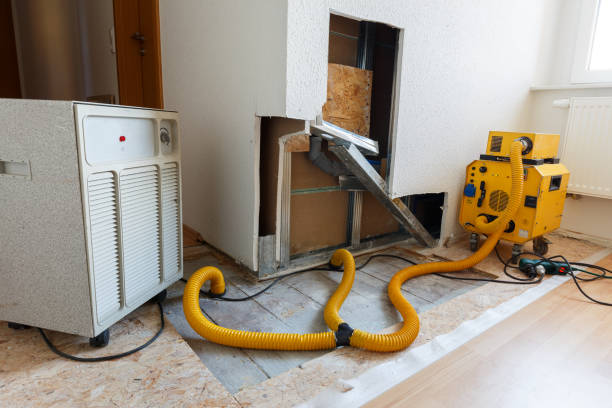 Best Residential Mold Inspection & Testing  in St John, IN
