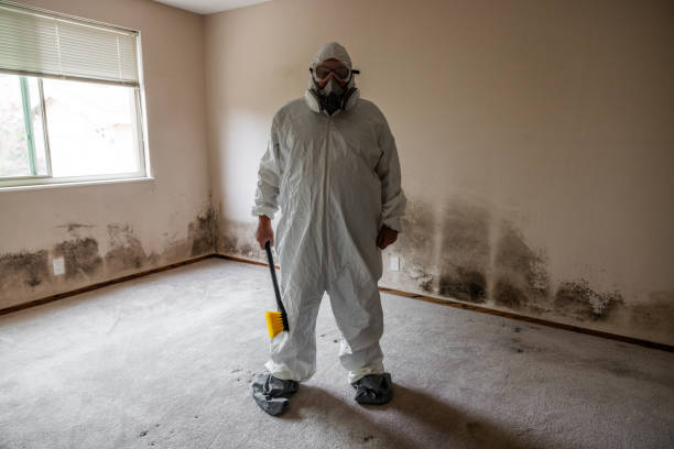 Best Crawl Space Mold Remediation  in St John, IN